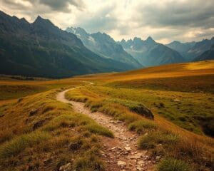 Canvas stoffen: natuurlijk en robuust