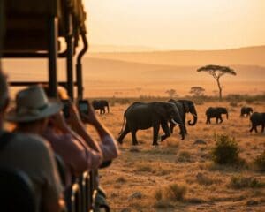Wat is het verschil tussen een groepsreis en een privé safari?