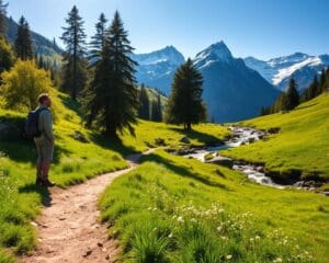 Wandelen door de bergen van Oostenrijk