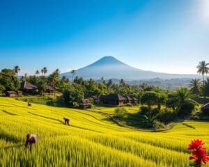 Wat maakt Bali populair als vakantiebestemming?